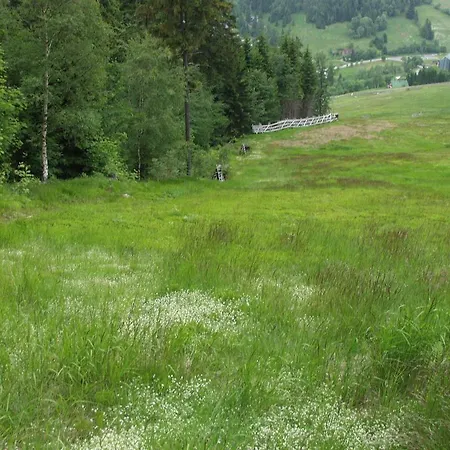Appartement Harrachov